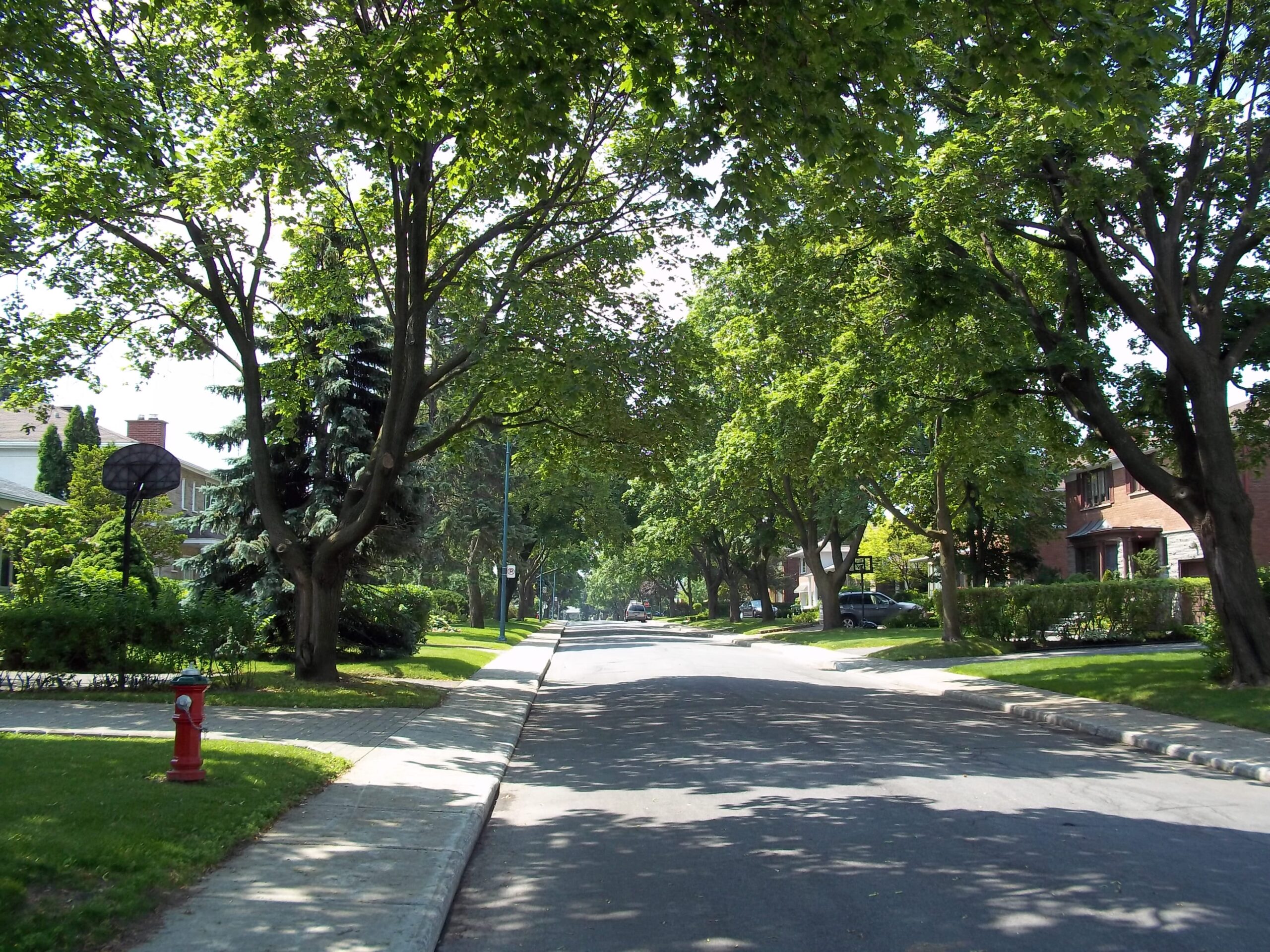 quartier ville mont royal, stratégie marché immobilier